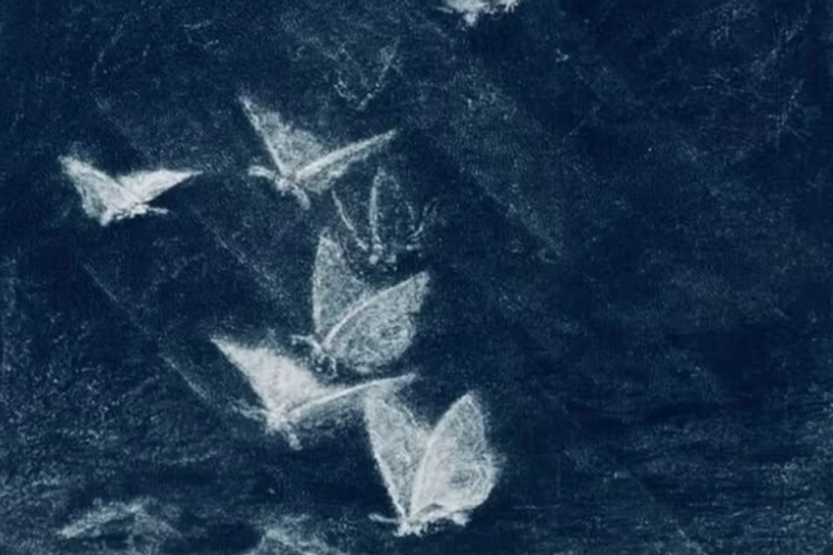 عکس ازین پروفایل آدمکی ها:/