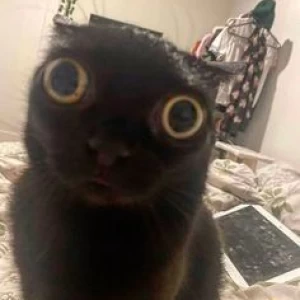 عکس مغز من وقتی که...