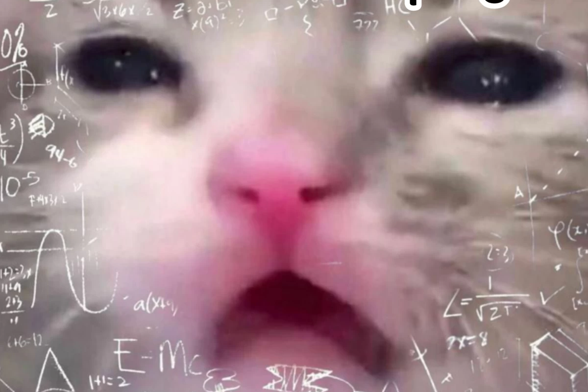 عکس مغز من وقتی که...