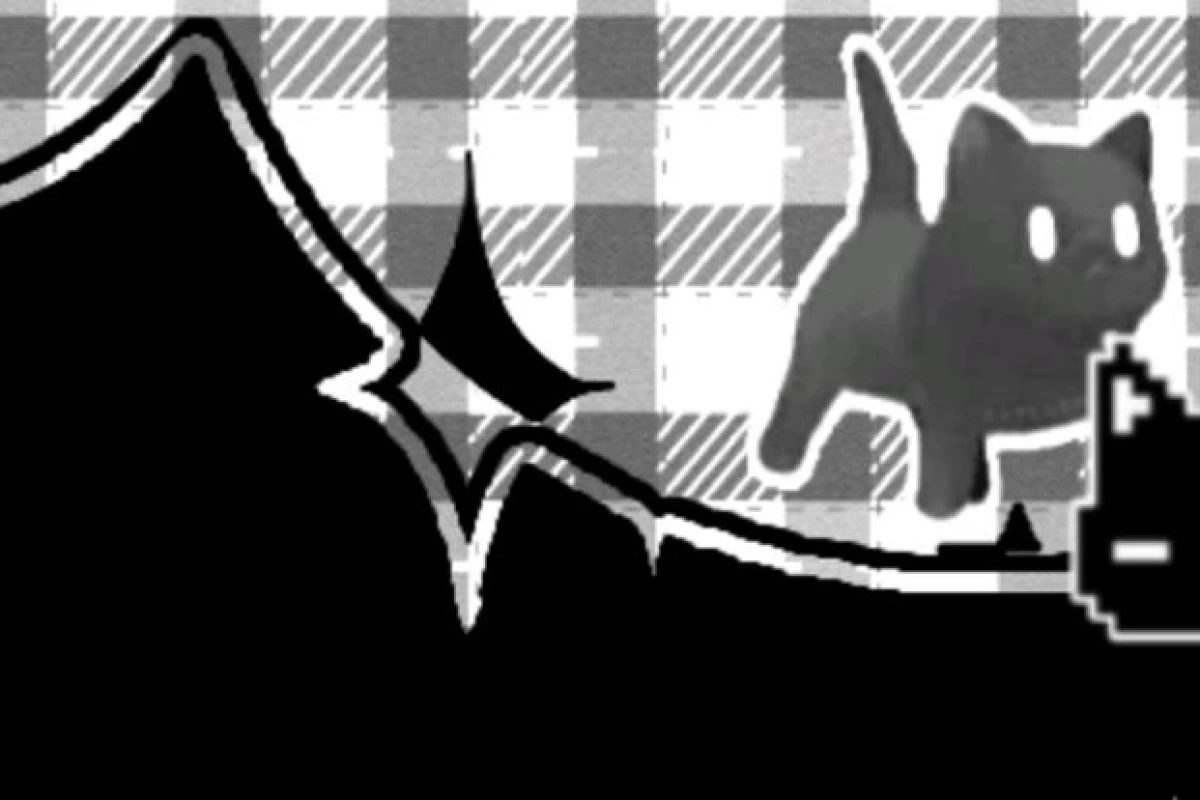 عکس تئوری هازبین هتل