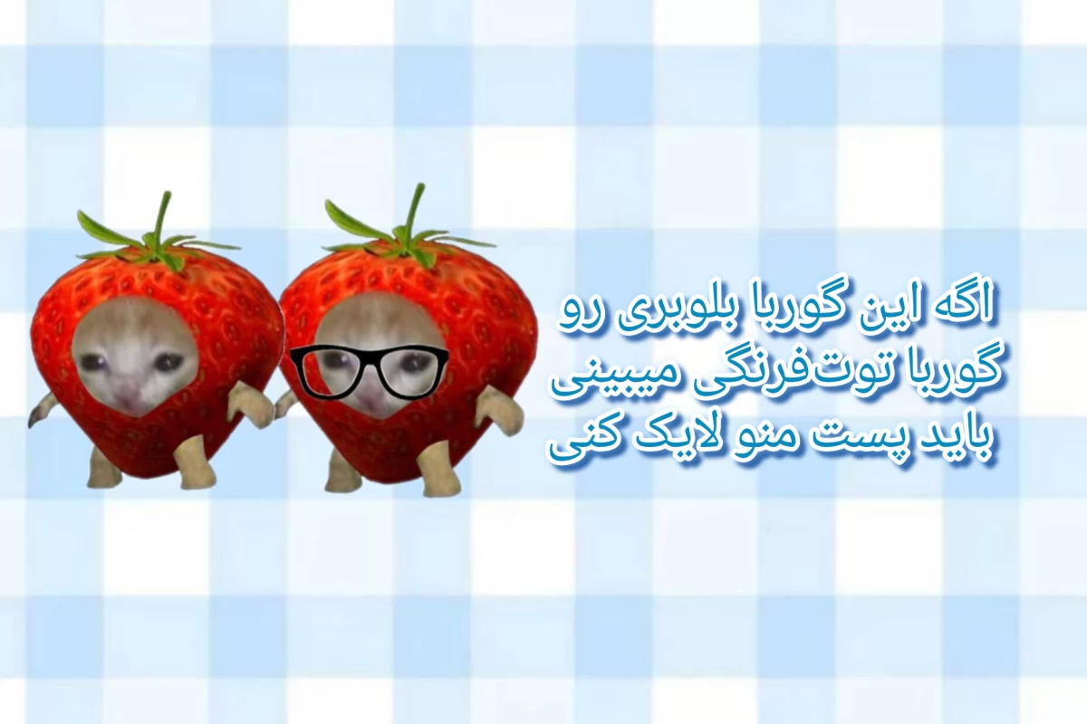 عکس فک میکنی خفنی؟