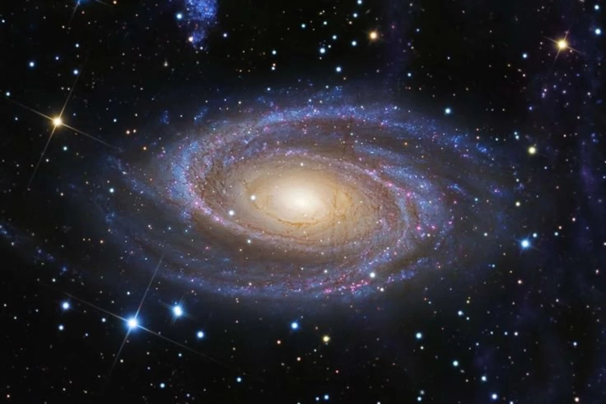 عکس اگر مغز آدما نوتیفکیشن میداد خطرناک ترینشون چیبود؟