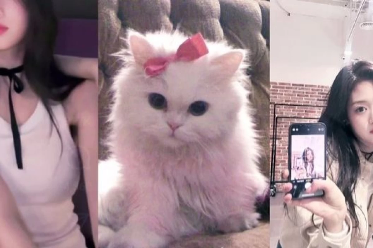 عکس اگر x باشی yت میشم(ناظر اس اول رو چک کنن پلیززز)