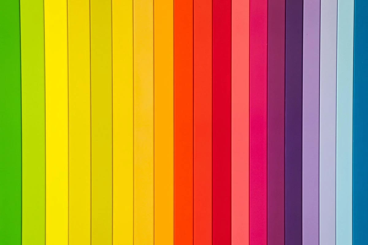 عکس اگه کل دنیا بی رنگ بود، چی می شد؟