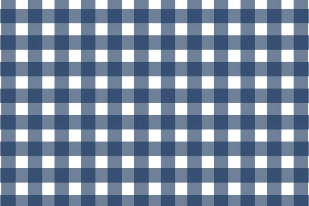 عکس عروس دریایی˙⋆✮