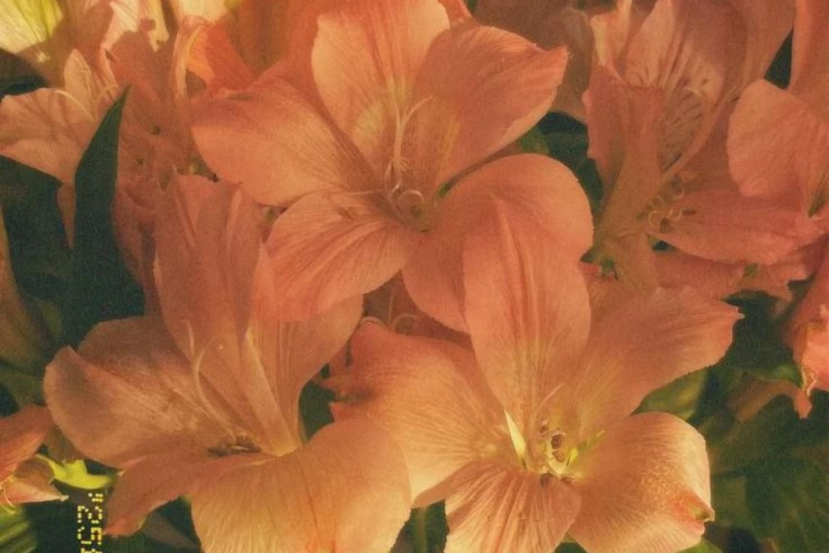 عکس تکه ای از هنر های من-نقاشی های ذهنی