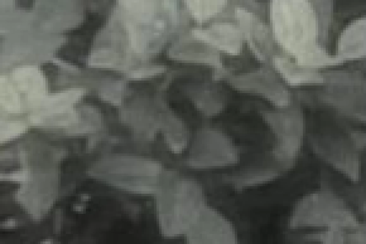 عکس ★یک روز ساده با آیهان★