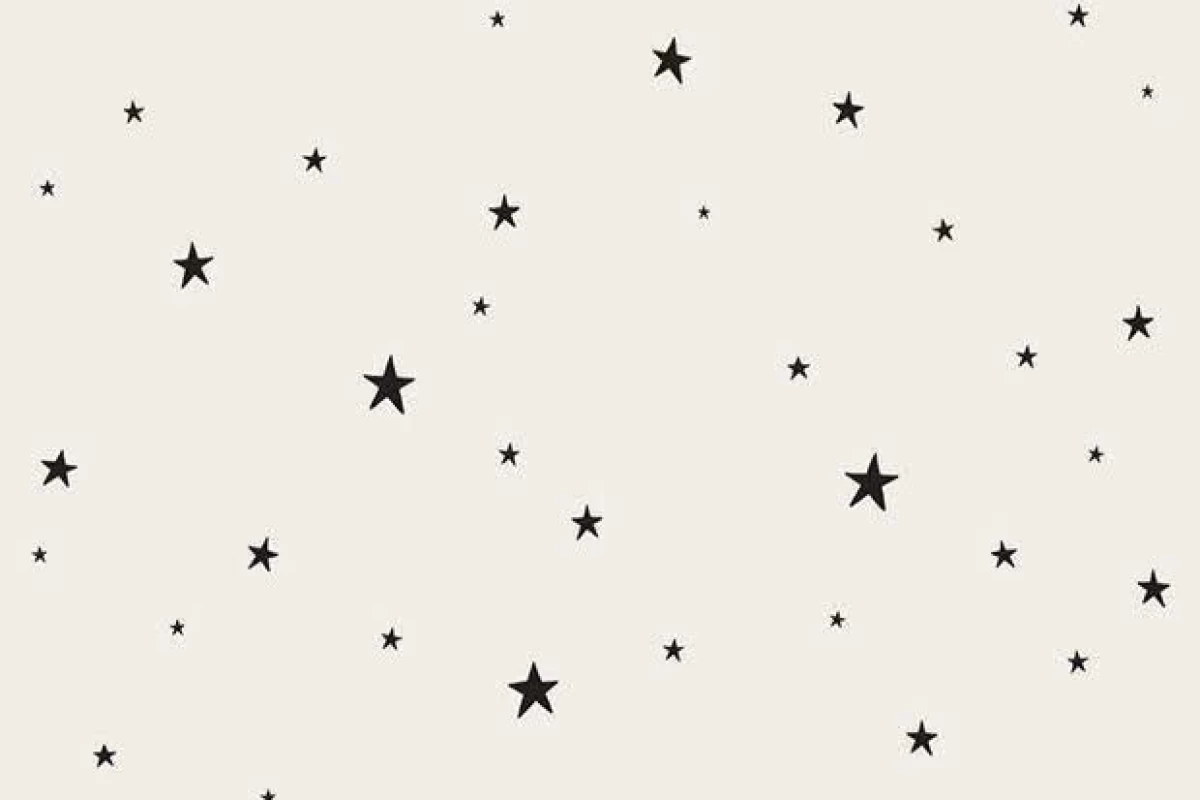 عکس اون چی؟ :🗣