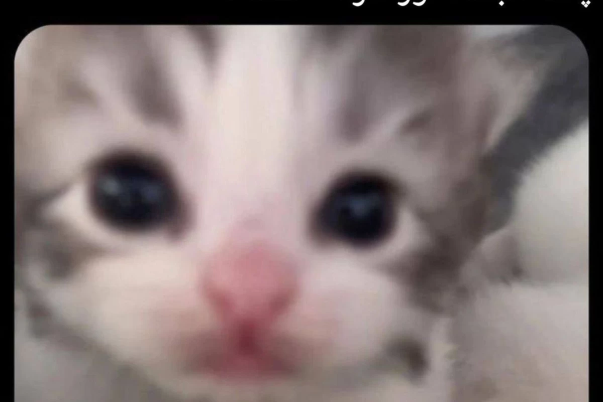 عکس توییت خنده دار و حق پارت 21