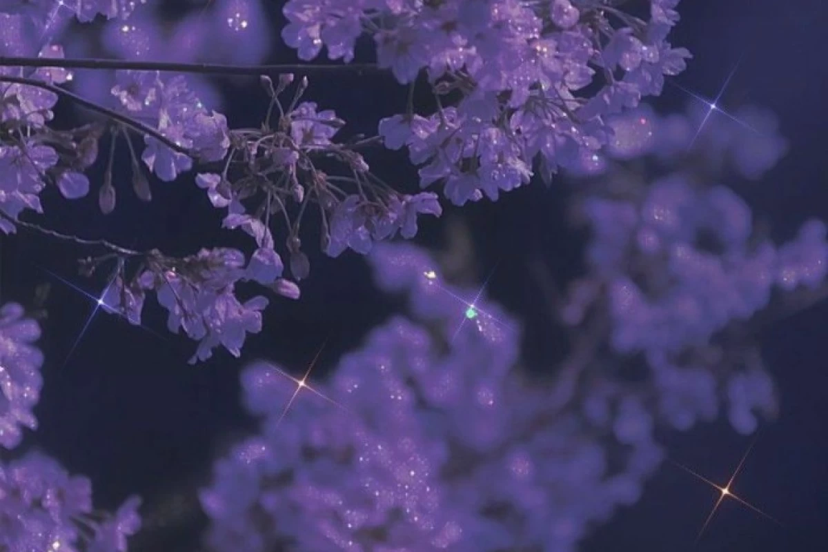 عکس زیبایی خودتو بسنج