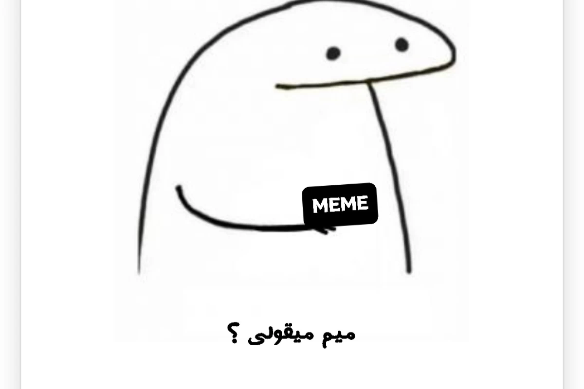 عکس میم میقولی ؟ پارت ۴