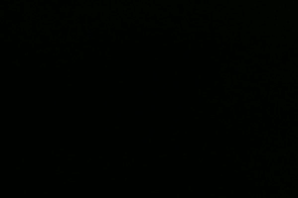 عکس میم(کیپاپ ور)