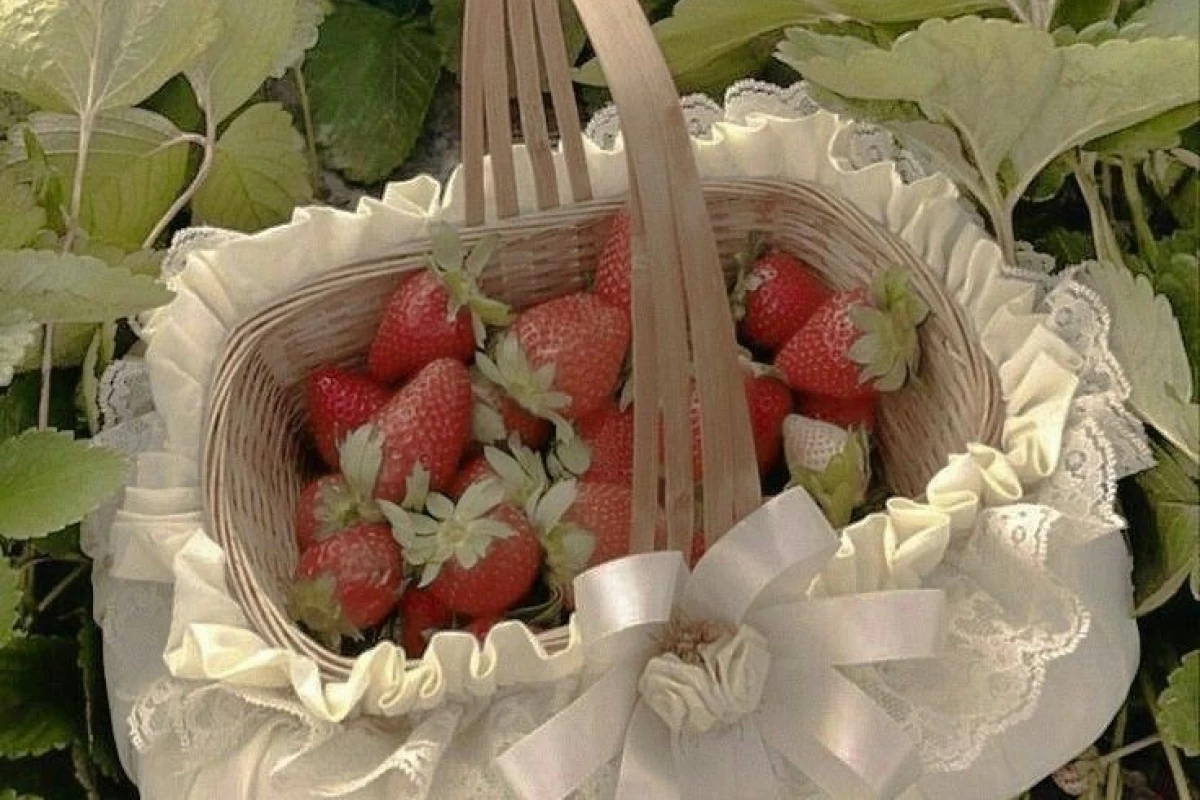 عکس 🎐من مثلا نمی‌دونم