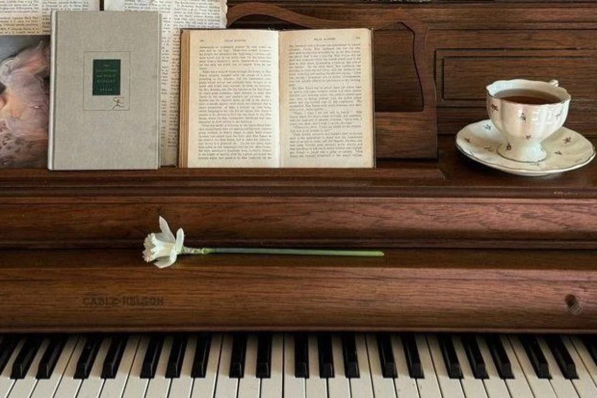 عکس سکوتی که مینواخت