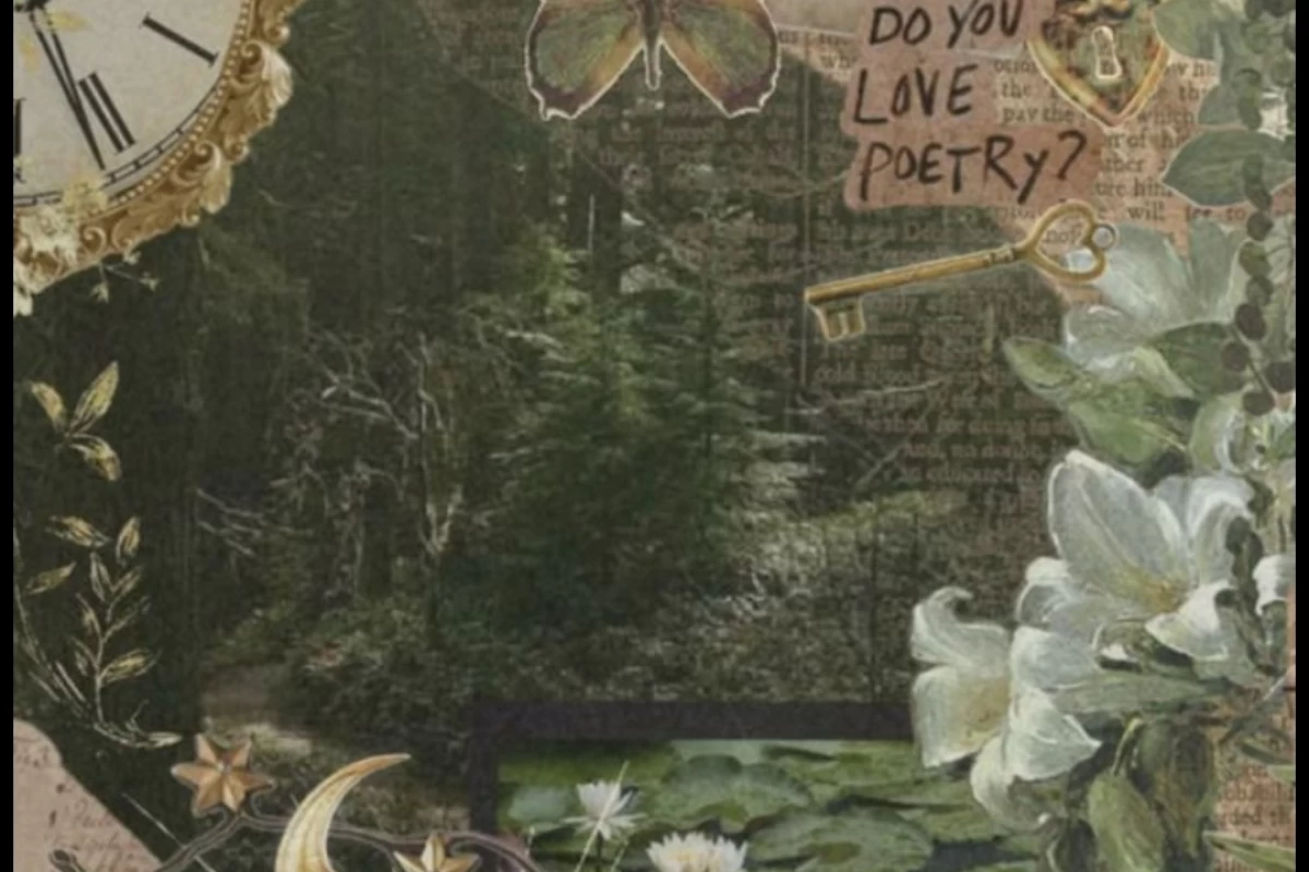 عکس جایی که منطق متوقف می‌شود