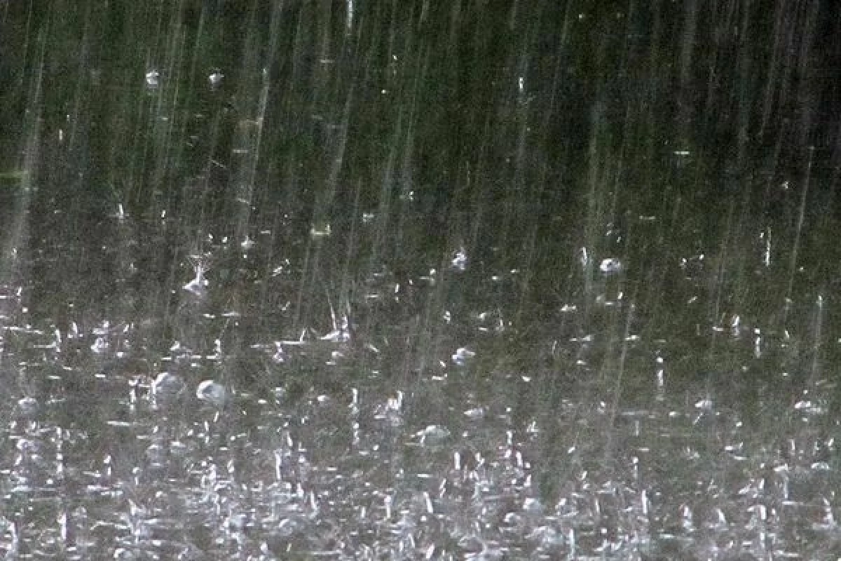 عکس چرا بوی بارون را دوست داریم؟