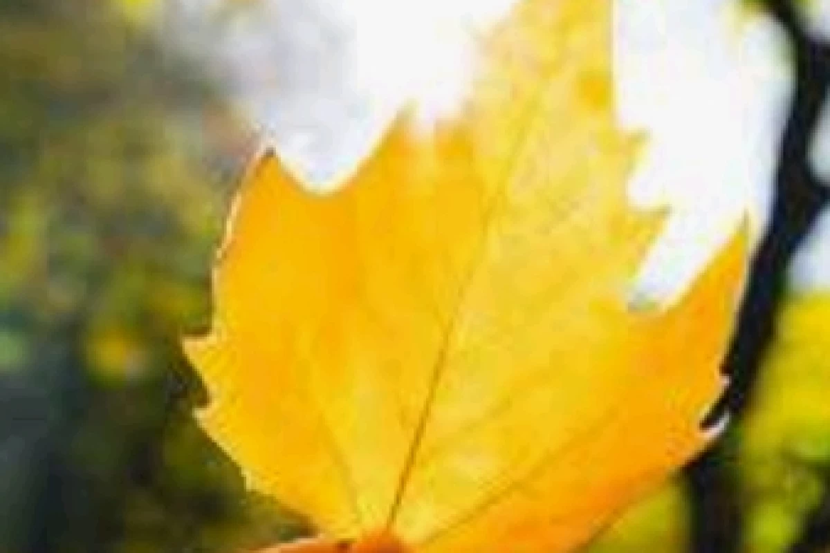 عکس بیوگرافی من