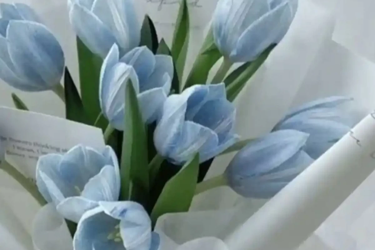 عکس پولساز ترین و زیبا ترین گل