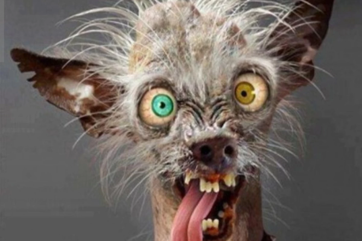 عکس بخش وجودی انسان ...