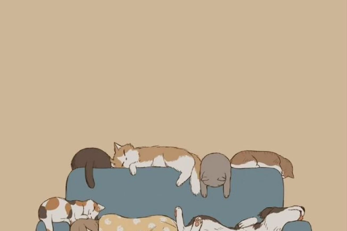 عکس فیلم و رمان های محبوب