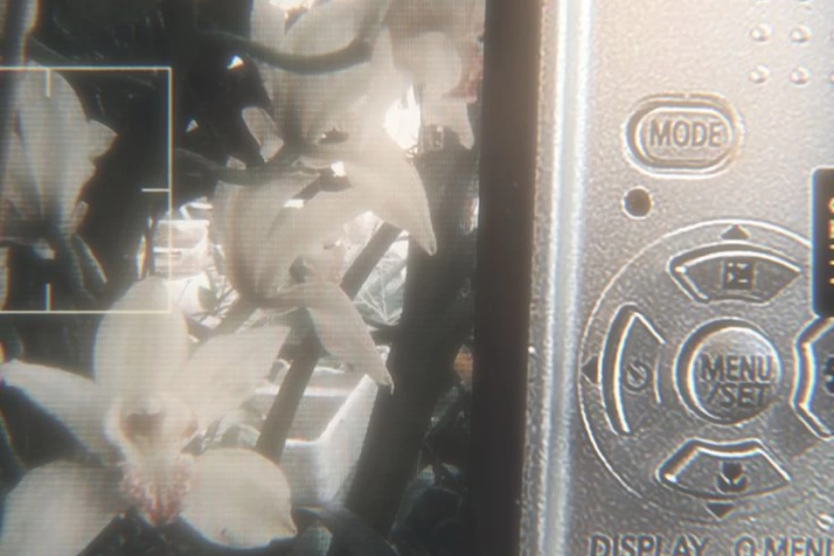 عکس 𝖨𝗍'𝗌 𝗏𝖾𝗅𝗂𝗇༊