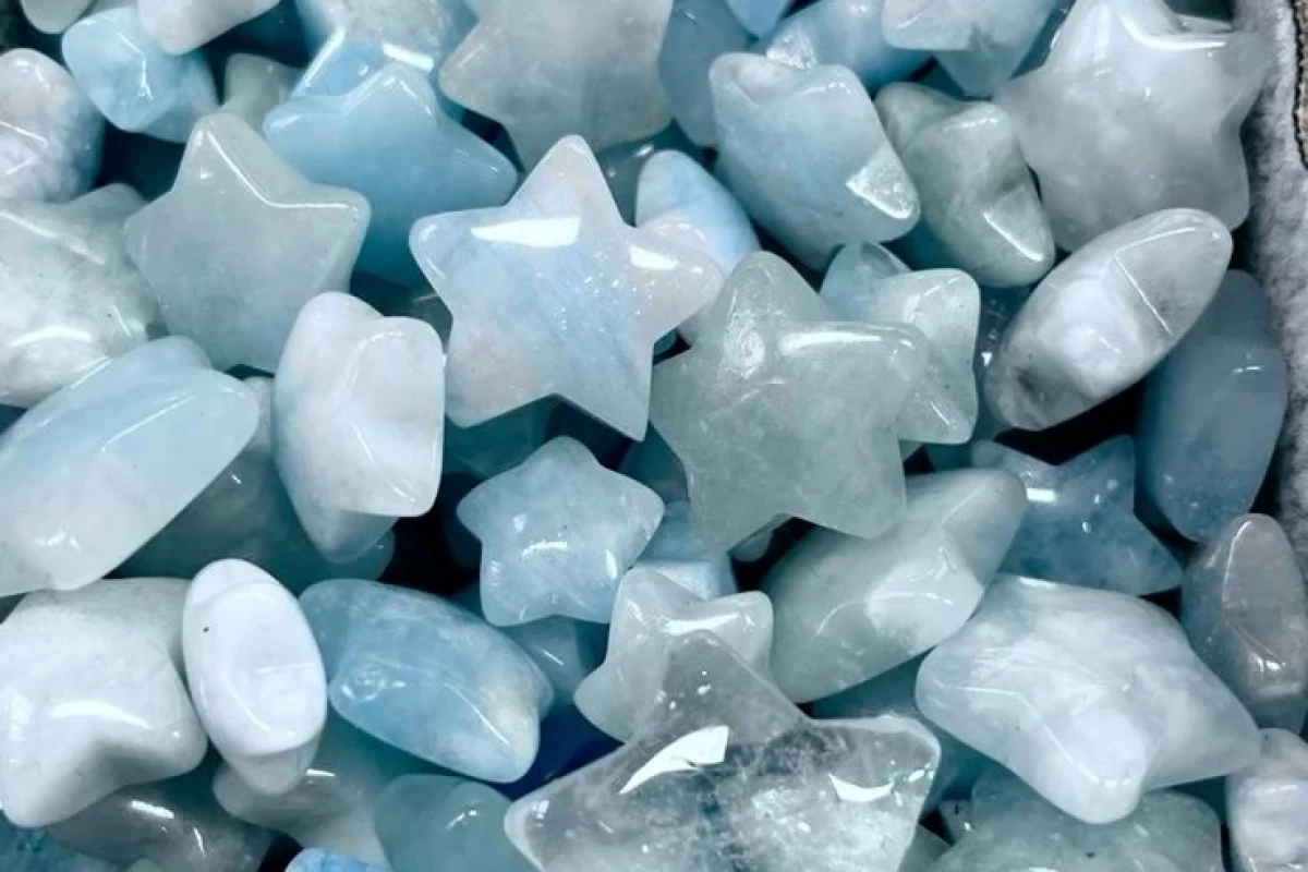 عکس چقدر پناهو میشناسی؟