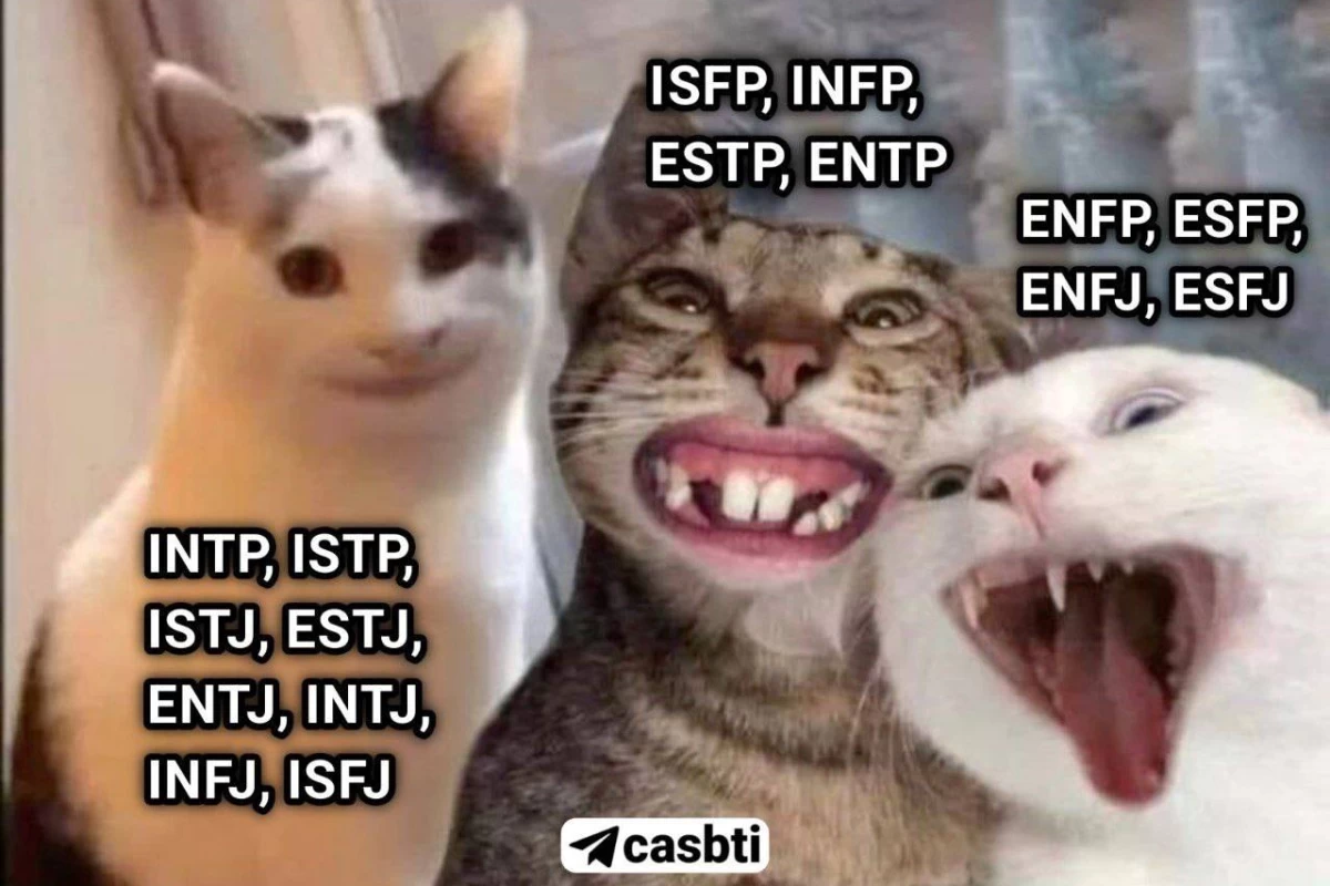 عکس ذهنیت برخی تایپ ها p2