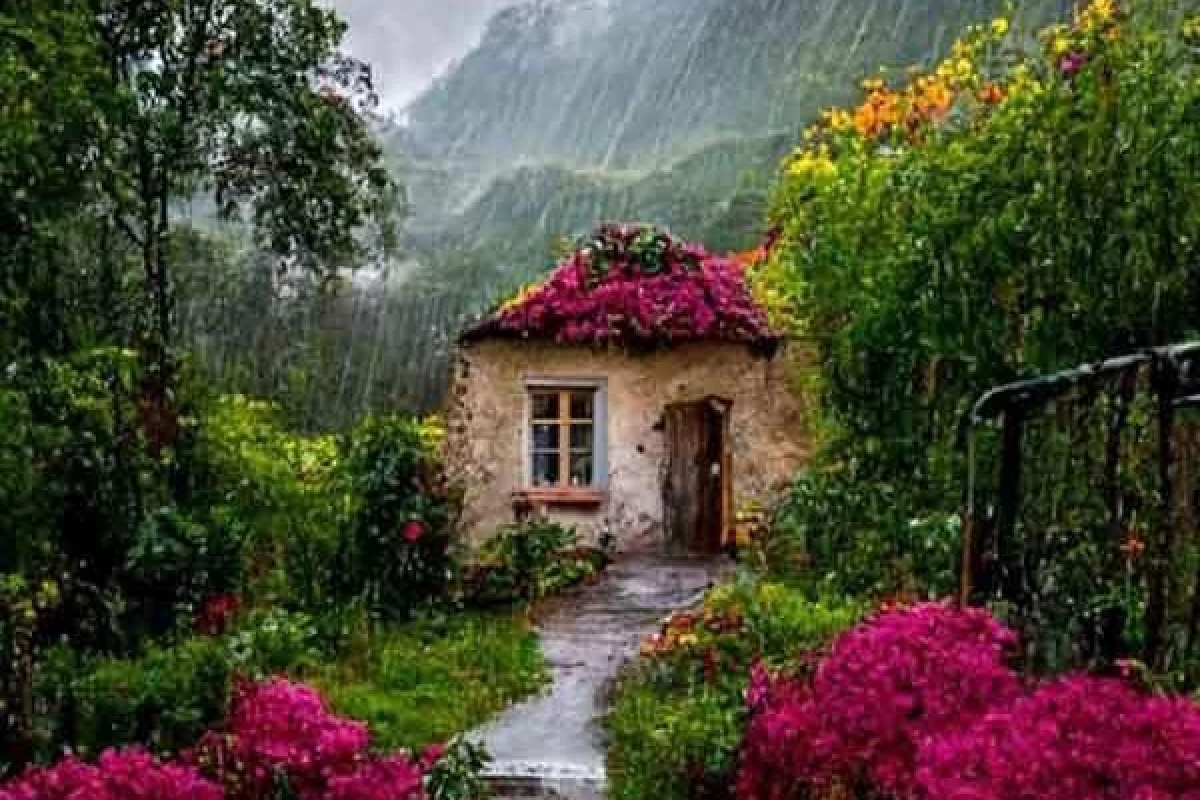 عکس چرا نباید به «ChatGPT» اعتماد کرد؟