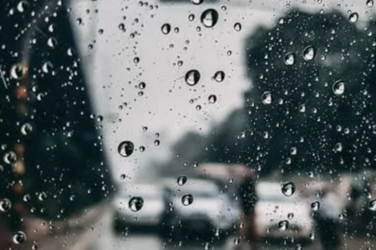 عکس درباره‌ی من: