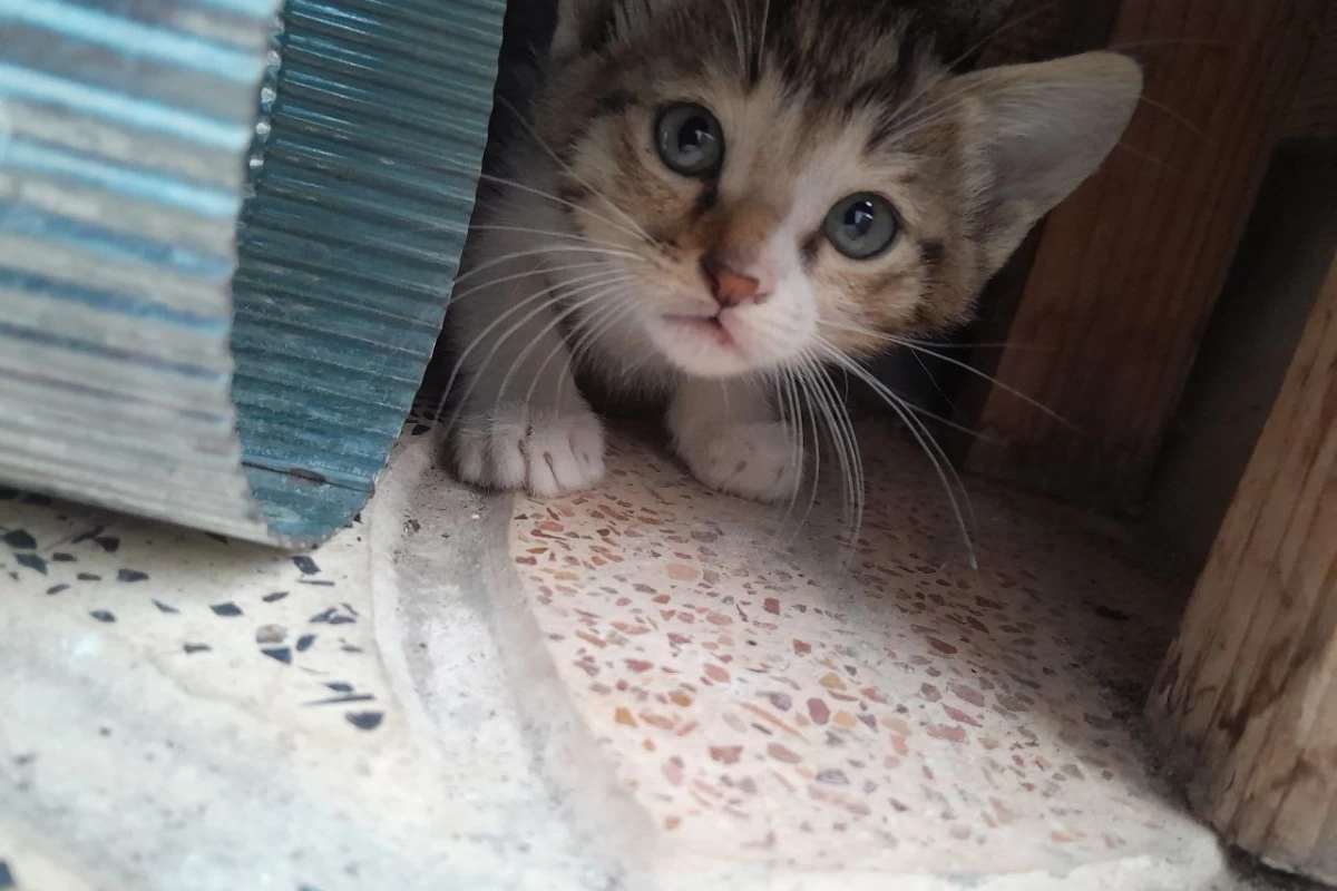 عکس میدونستی به این حسا چی میگن؟