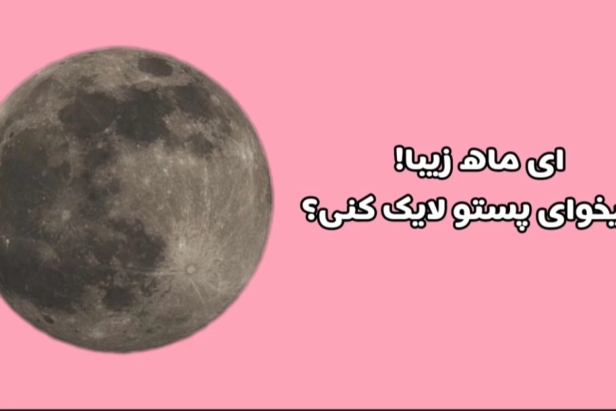 عکس تیم کاراگاه استری کیدز؟