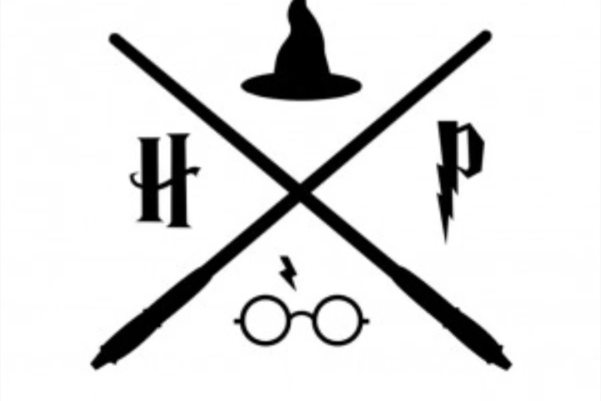 عکس در میان تاریکی و نور