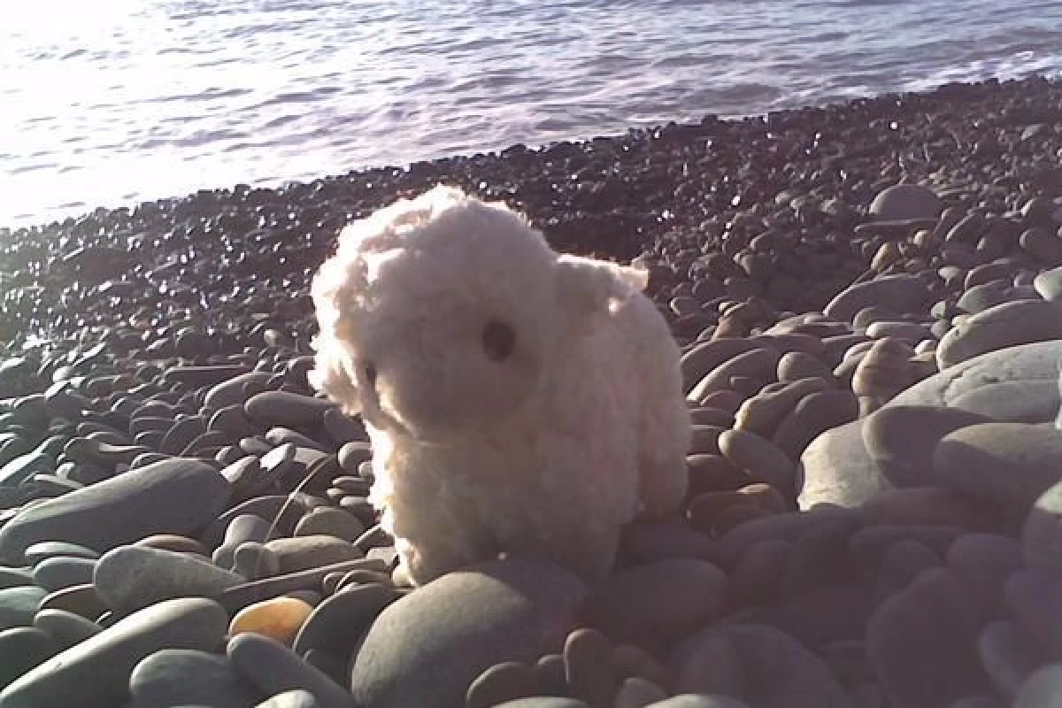 عکس تـغـییـر کـنــ…!🌀🐳