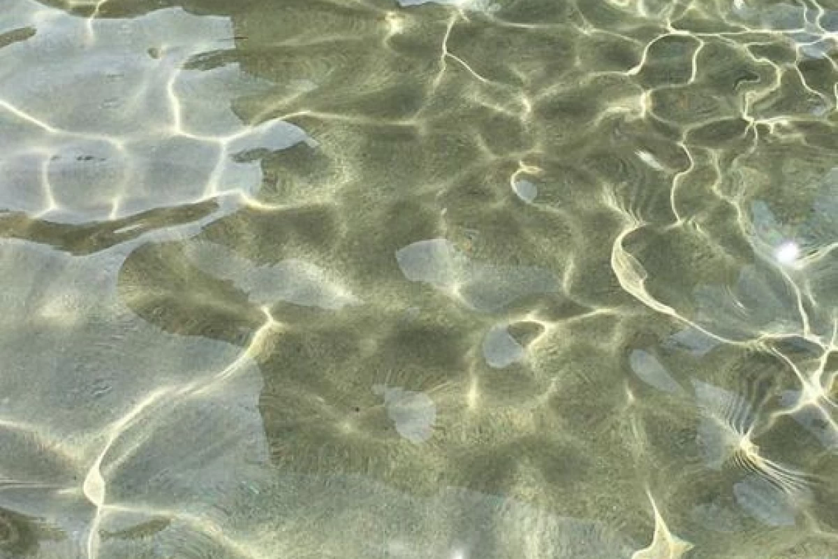 عکس من‌دیگرمن‌نیست؛