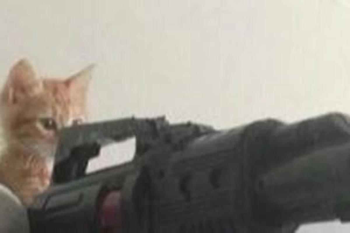 عکس اونایی که آیفون دارن و اونایی که ندارن!