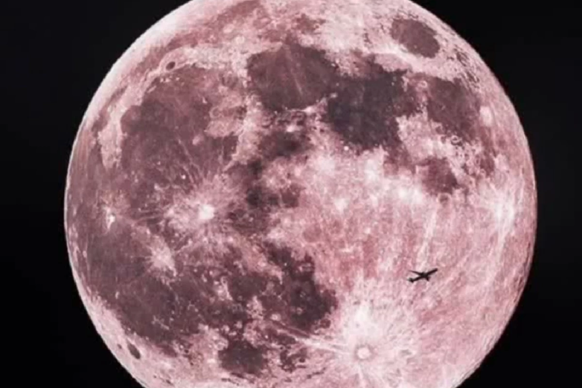 عکس زیبا شو!