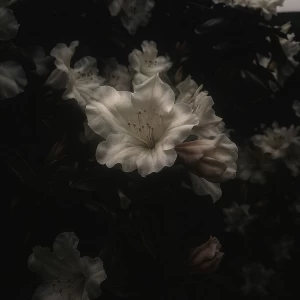 عکس "آهنگایی با وایب زمستونی"