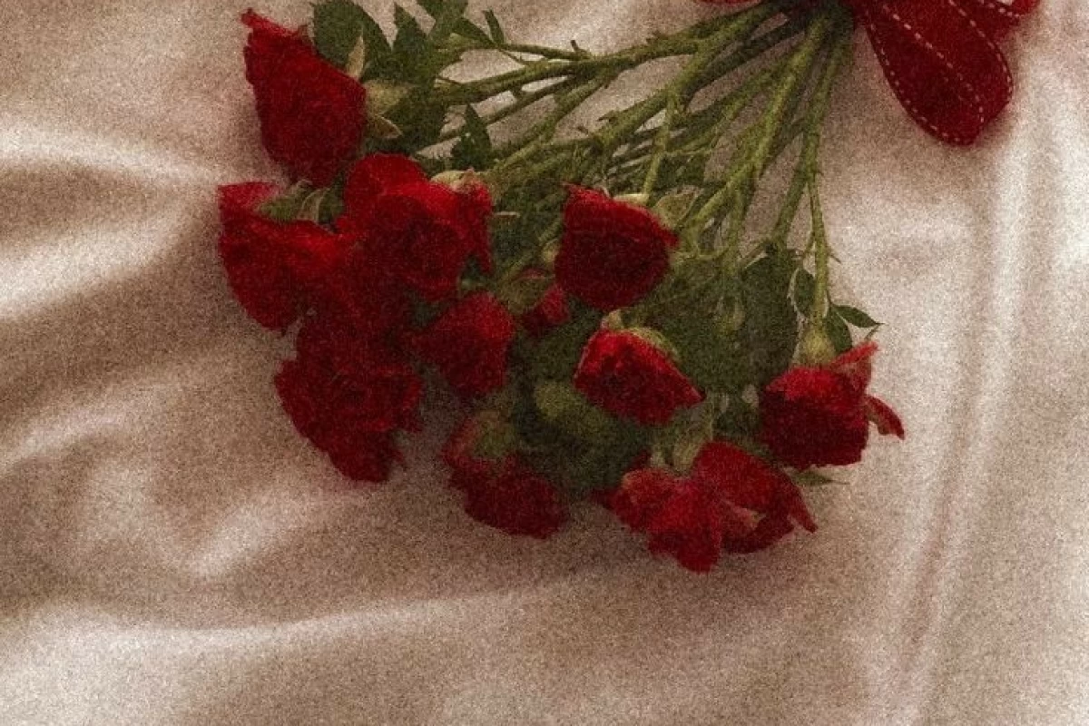 عکس معروف ترین نویسنده های جهان