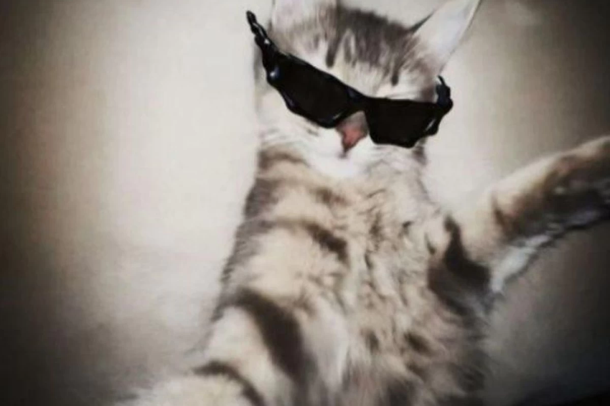 عکس درباره ی خودم...