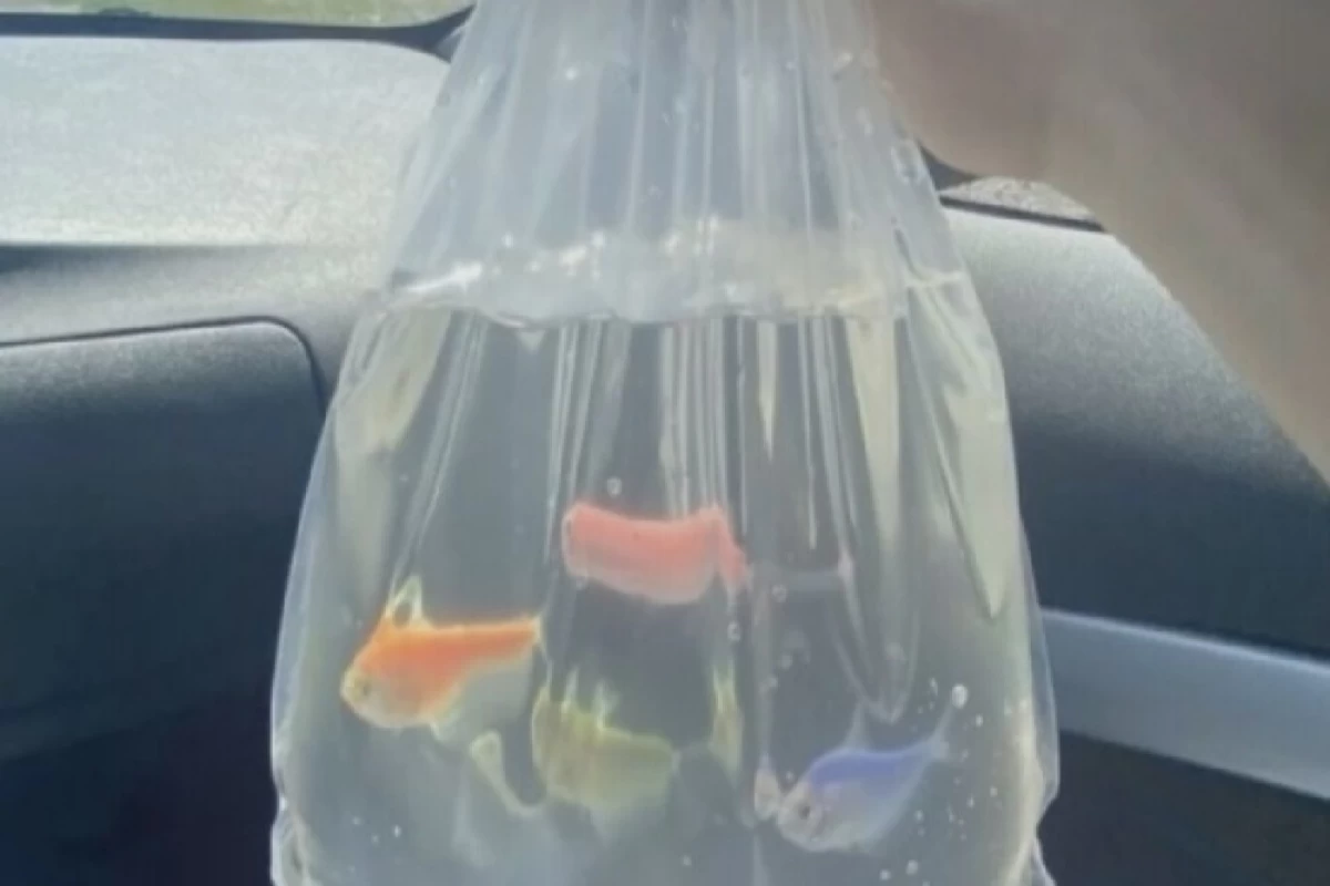 عکس ☆ My bio ☆