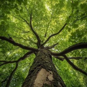 عکس وایب هر مناسبت ایرانی