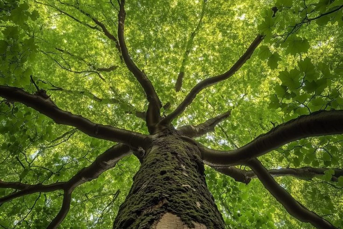 عکس وایب هر مناسبت ایرانی