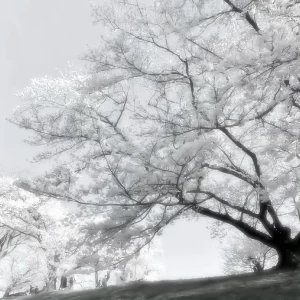 عکس 𝒍𝒊𝒈𝒉𝒕