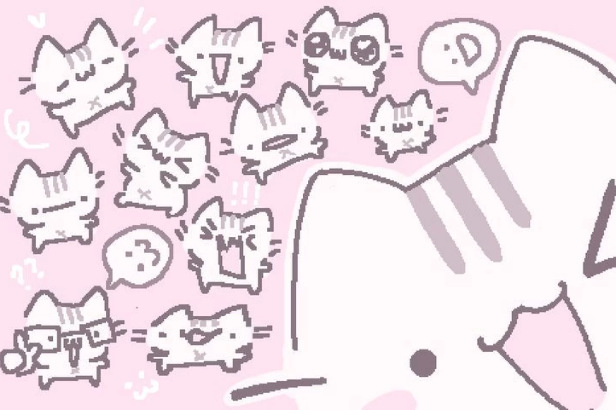 عکس چقدر لجبازی!؟