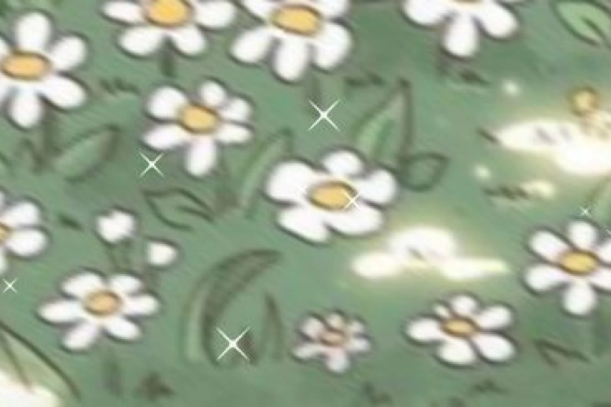 عکس گل زاموفیلیا