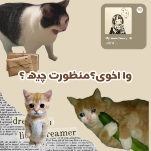 عکس وا اخوی؟منظورت چیه ؟