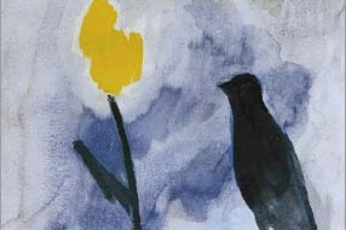 عکس ما هیچ ما نگاه