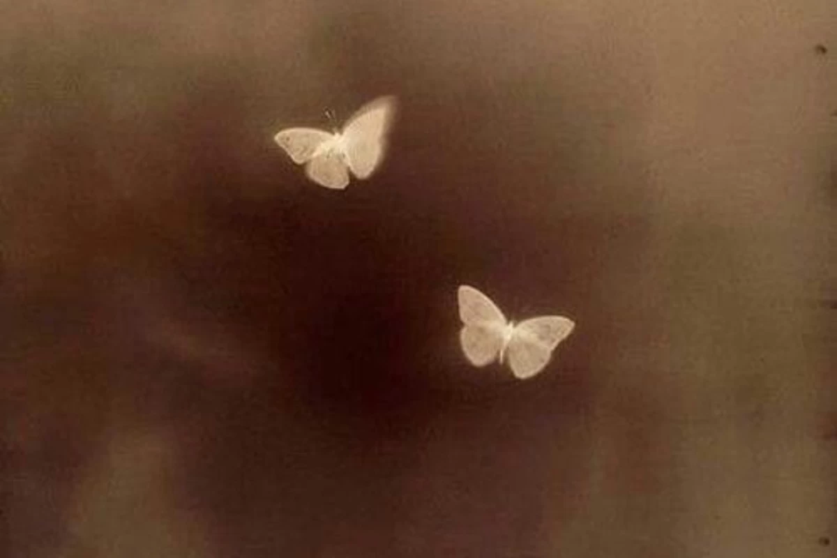 عکس الو؟...یاد تو همیشه زندست :))