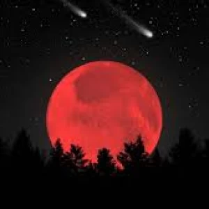 عکس ?𝕎𝕙𝕠 𝕒𝕞 𝕀?