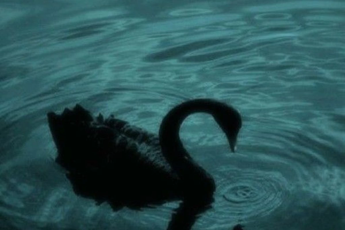 عکس دریا، تنهایی بی‌پایان